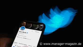 Twitter: Kurznachrichtendienst will Klage gegen Elon Musk Anfang der Woche einreichen