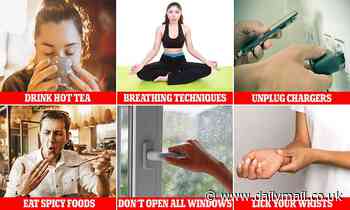 How to keep cool in hot weather: From drinking hot tea to licking your wrists