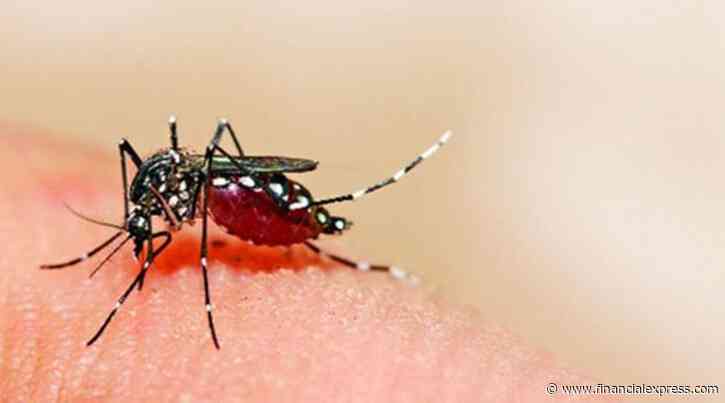 153 dengue cases reported in Delhi so far, 10 in July: Civic report