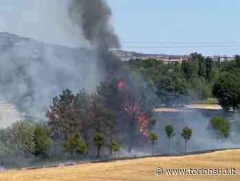 BEINASCO - Grave incendio al confine con Torino, minacciata la manifestazione dei rapaci - TorinoSud
