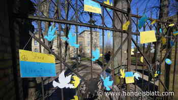 Sonderregelungen: Warum ein Ukraine-Steuerhilfegesetz nicht nötig ist