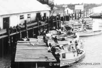 LOOKING BACK: Wharf puts the 'port' in Port Haney – Maple Ridge News - Maple Ridge News