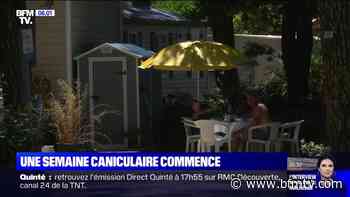 Canicule: à Lacanau, habitants et touristes se préparent à une semaine de fortes chaleurs - BFMTV