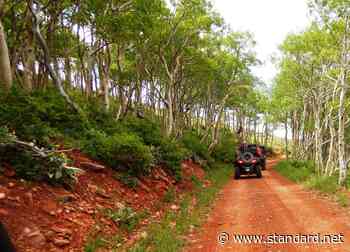 ATV Adventures: More fun at the National ATV Jamboree in Fillmore - Standard-Examiner