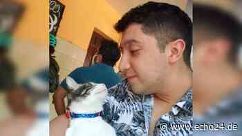 Katze und Mann sind unzertrennlich – sie gehen zusammen zum Essen - echo24.de