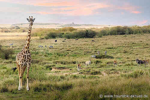 Alltours: Kapverden und Kenia neue Fernziele