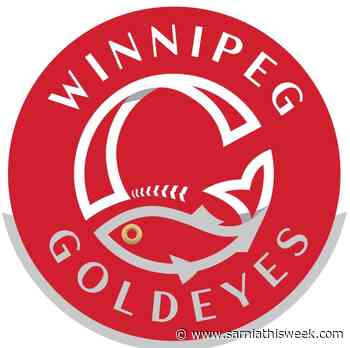 Goldeyes record second shutout in a row | Sarnia & Lambton County This Week - Sarnia and Lambton County This Week