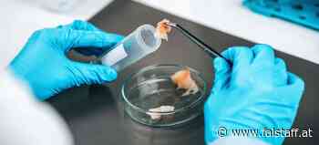 Lebensmittelsicherheitsbericht: Rund 83 Prozent der Proben ohne Belastung