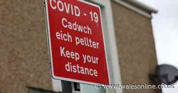 Coronavirus BA.5 and BA.4 variants to blame for surge in infection rates - Wales Online