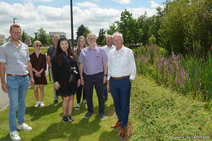 Opnieuw gouden medaille voor Oudenaarde? Stad doet mee met internationale groenwedstrijd ‘Communities in Bloom’