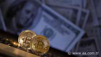 US Fed vice chair calls for urgent regulation in cryptocurrency market - Anadolu Agency | English