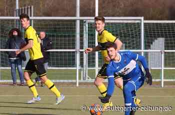 SV Leonberg/Eltingen, SV Fellbach: Philipp Meister, der nächste Neue - Stuttgarter Zeitung