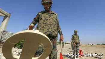 Las minas antipersonales, asesinas invisibles que siguen matando en Siria - SWI swissinfo.ch en español