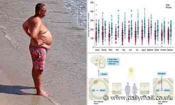 The heatwave could make you gain WEIGHT - if you're a man, study reveals