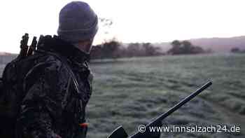 Jagdwilderei in Rechtmehring – Wer hat den Rehmörder gesehen?