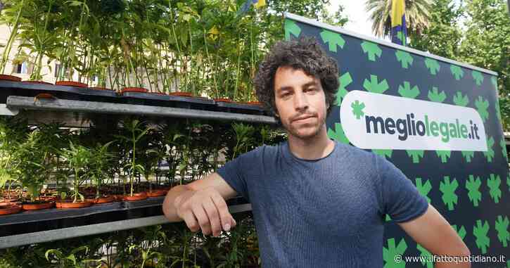 Cannabis, il sindaco Pd Lepore riprende Santori: “La legge va rispettata, spero Mattia non voglia sprecare tutto”