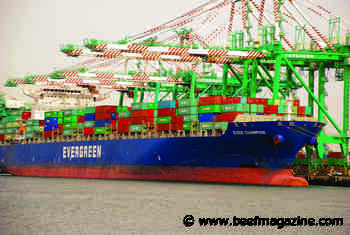 Smaller beef export markets growing