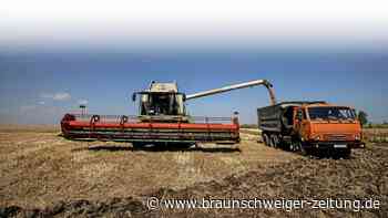 Blockade: Wie die Ukraine ihr Getreide aus dem Land schafft