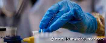 Cancer: un espoir de guérison des lymphomes