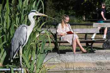 In Pictures: UK basks in heatwave ahead of more dangerous temperatures - Ealing Times