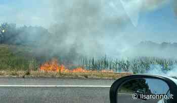 Solaro incendio sulla Saronno-Monza: fiamme a bordo strada - ilSaronno