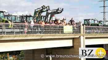 Helmstedts Bauern blockieren mehrere Autobahnbrücken