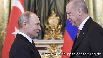 Russland und Türkei verhandeln über Getreide-Export