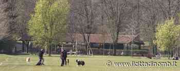 Morsicato da un cane nel parco di Monza, ferito il proprietario di un bassotto - Il Cittadino di Monza e Brianza
