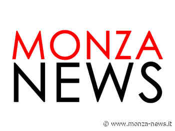 Calciomercato Monza, Peduzzi a Telelombardia: 'Ecco l'idea per il numero 10' - Monza-News