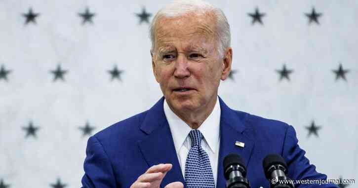 Anti-Biden Backlash Gets Brutal: Dems Polled About 2024 Have an Ugly Answer for the President