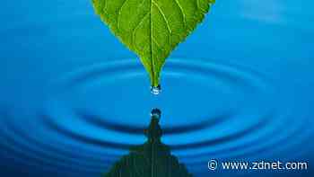 Environmental science degree jobs: All your options