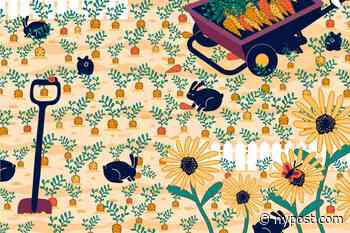 Spot the diamond ring in this optical illusion and you're a hidden gem - New York Post