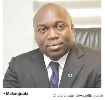 We're diversifying to solve challenges and grow our portfolio – The Sun Nigeria - Daily Sun
