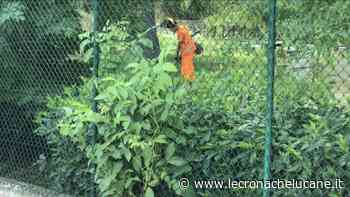 LA VILLA COMUNALE DI MELFI TORNA PULITA - Cronache TV