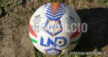 Ricciuti nuovo tecnico dello Sport Melfi Falanga verso il Cittadella - Potenza IamCALCIO