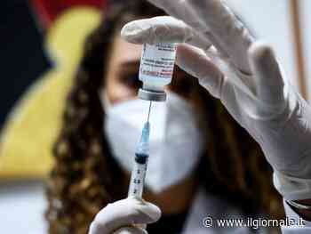 La circolare di Speranza: "Via alla quarta dose". Chi deve farla e quando