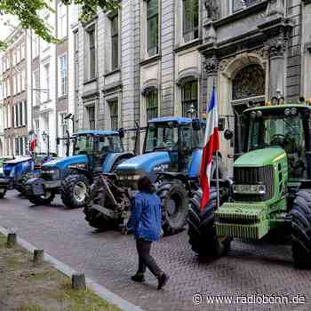 Niederländische Bauern bringen Premier Rutte in Bedrängnis - Radio Bonn / Rhein-Sieg - radiobonn.de