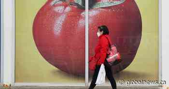 Atlantic Canadians making more cuts as interest rates rise, data shows