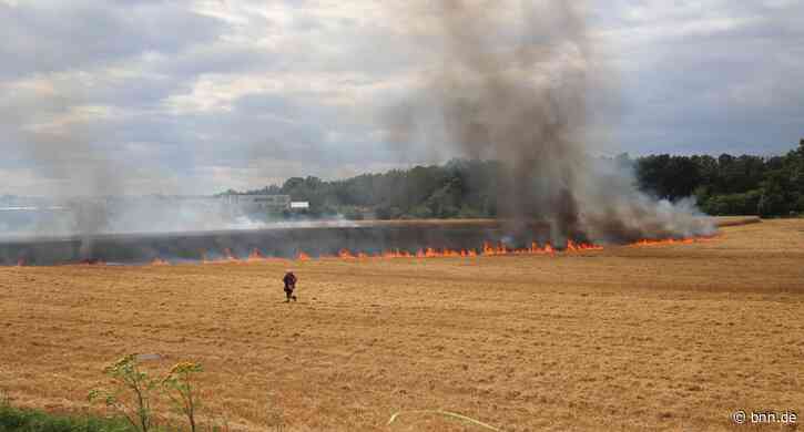 Großer Flächenbrand in Stutensee-Blankenloch – teilweise Getreide verbrannt - BNN - Badische Neueste Nachrichten