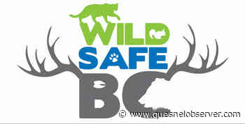 WildSafeBC bin tagging to reduce human-wildlife conflicts – Quesnel Cariboo Observer - Quesnel - Cariboo Observer