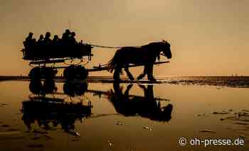 Wattwagen kippt im Priel vor Cuxhaven um: Zwei Verletzte - Dennis Angenendt