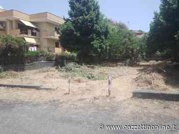 Giarre, convenzione Comune-Azienda Foreste: disboscamento aree esposte ad incendi - Gazzettinonline