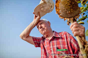 Heatwave: health chiefs issue tips to stay safe in the sun | Dudley News - Dudley News