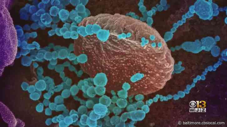 Marylanders Aren’t Dissuaded By Multiple COVID Infections Or The High Positivity Rate