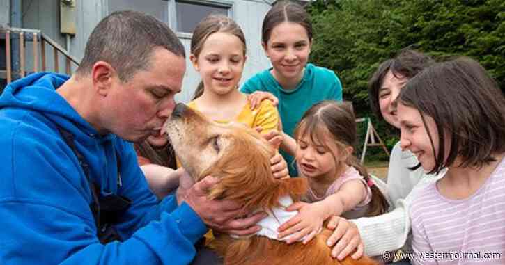 Blind Dog, 13, Lost for Three Weeks - Finally Found in Roadside Ditch, Reunited with Relieved Family