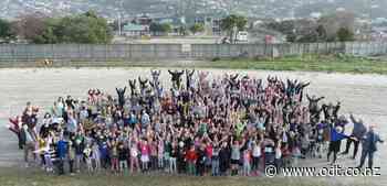 St Clair School to get piece of former racecourse - Otago Daily Times