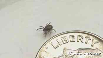 Ontario County warns of rise in Lyme disease cases