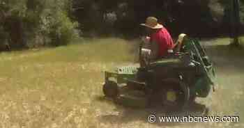 Florida man tries to elude deputies on riding lawn mower — it did not end well for him
