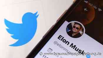 Twitter-Anwälte: Musks Rückzieher ist ungültig