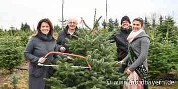 Kaniber eröffnet Christbaumsaison in Sindersdorf - Nordbayern.de
